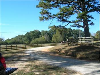 Primary listing photos for listing ID 461944