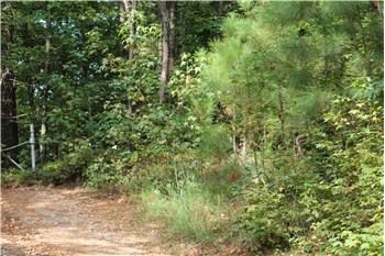 Primary listing photos for listing ID 461952