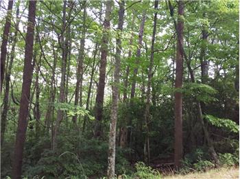 Primary listing photos for listing ID 472450