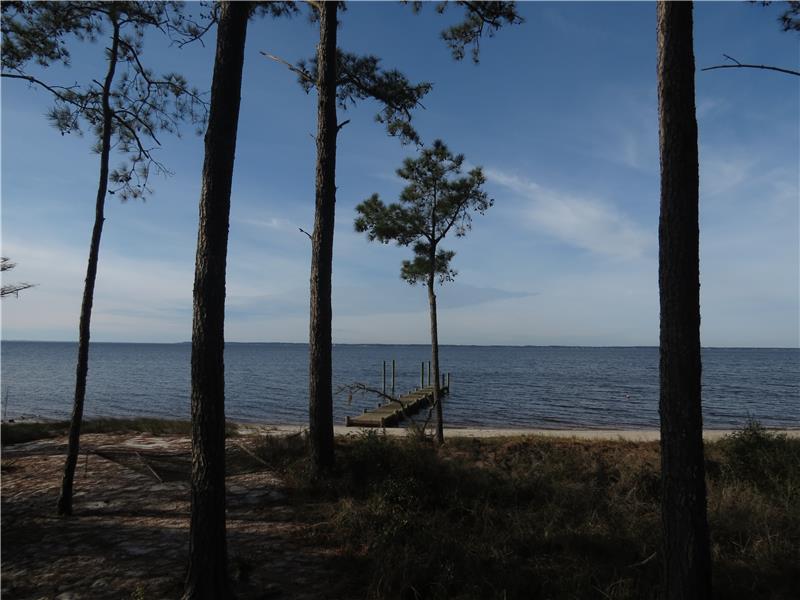 Can you imagine coming home to this