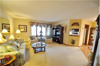 9735 Mill Drive East E1, Palos Park, IL 60464 - Presented by Ashley