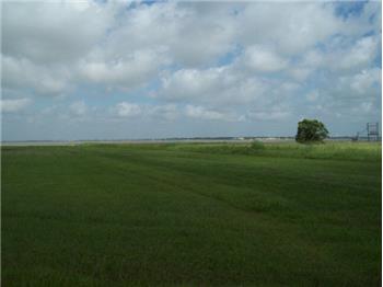 collegeport singles Collegeport - /collegeport land for sale in matagorda county texas - page 5 of a work site size single wide trailer with 1/2 bath has been turned into a . collegeport singles Collegeport - /collegeport land for sale in matagorda county texas - page 5 of a work site size single wide trailer with 1/2 bath has been turned into a .