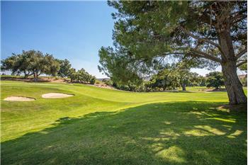 Primary listing photos for listing ID 491045