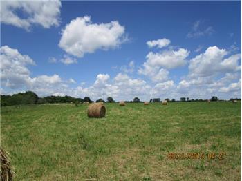 Primary listing photos for listing ID 478645