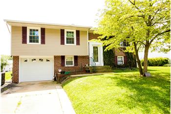 Primary listing photos for listing ID 448308