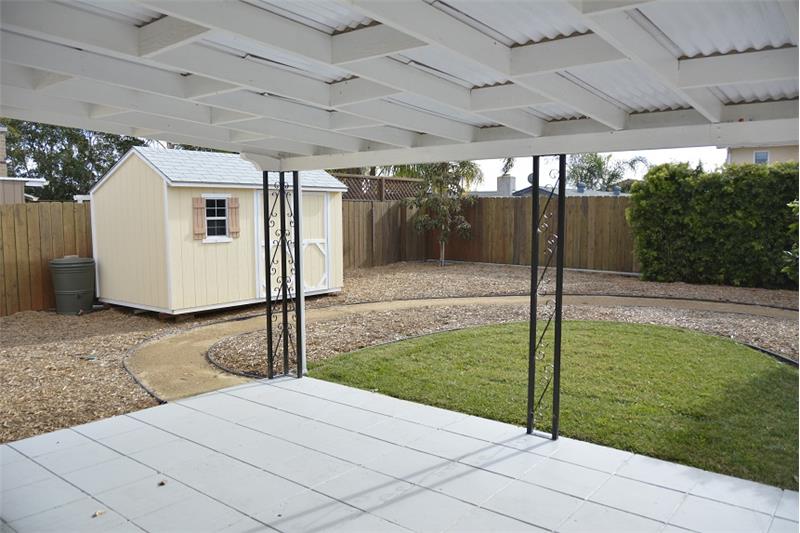 Fabulous back yard