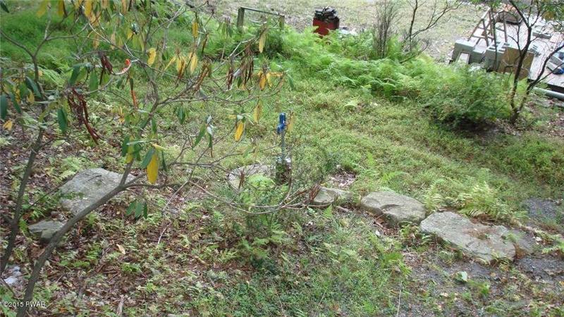 Looking out from Front Deck