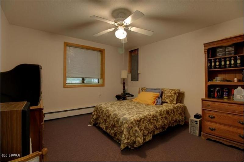 Lower Level Bedroom 3