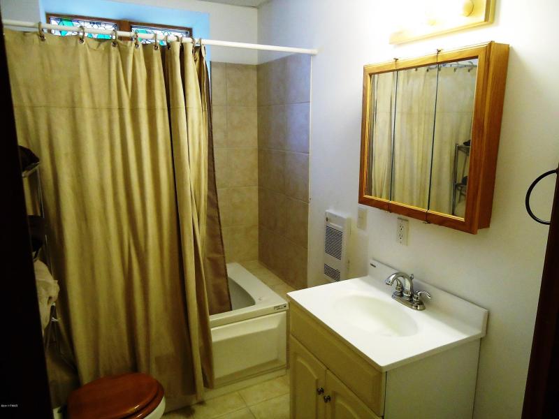 lower level bathroom