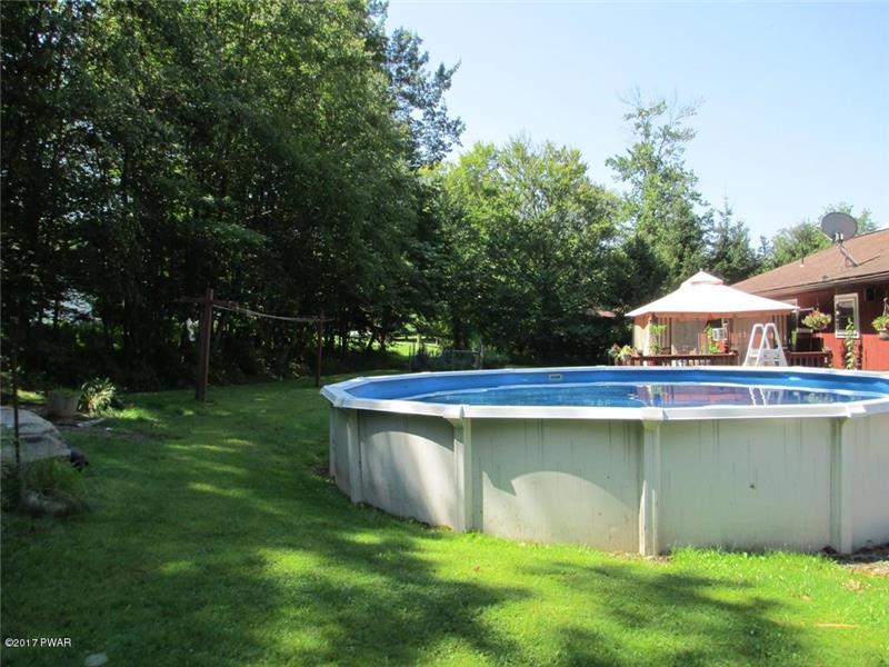 Pool and Back Yard