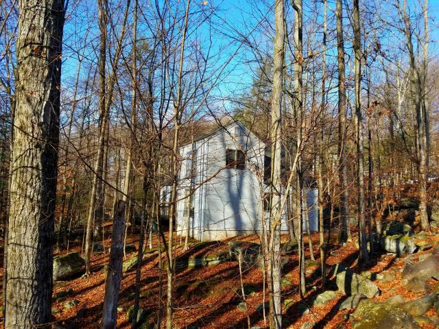 Southern View through Wooded Lot
