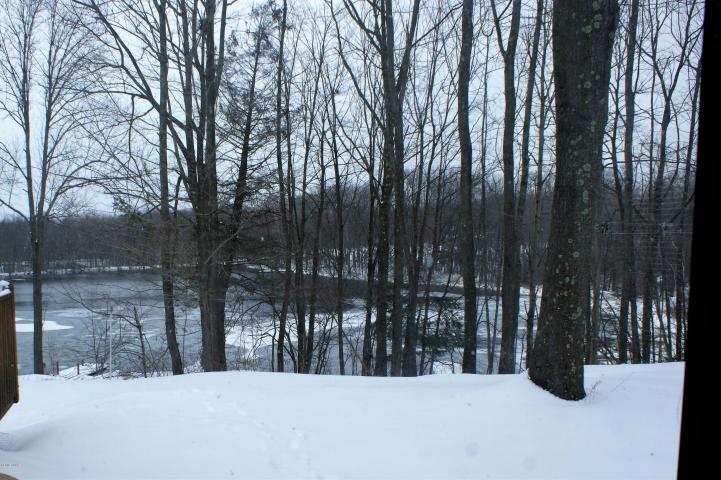 Pond Winter View