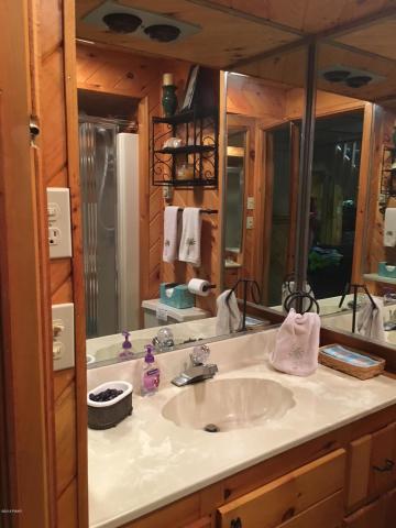 Lower Level Full Bathroom