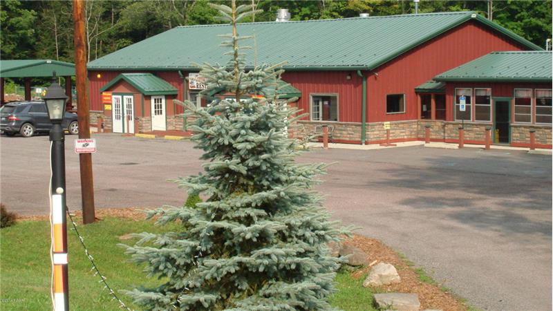 Landscaped and new light poles