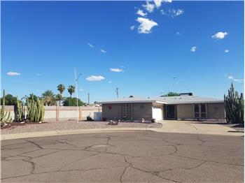 Primary listing photos for listing ID 449555