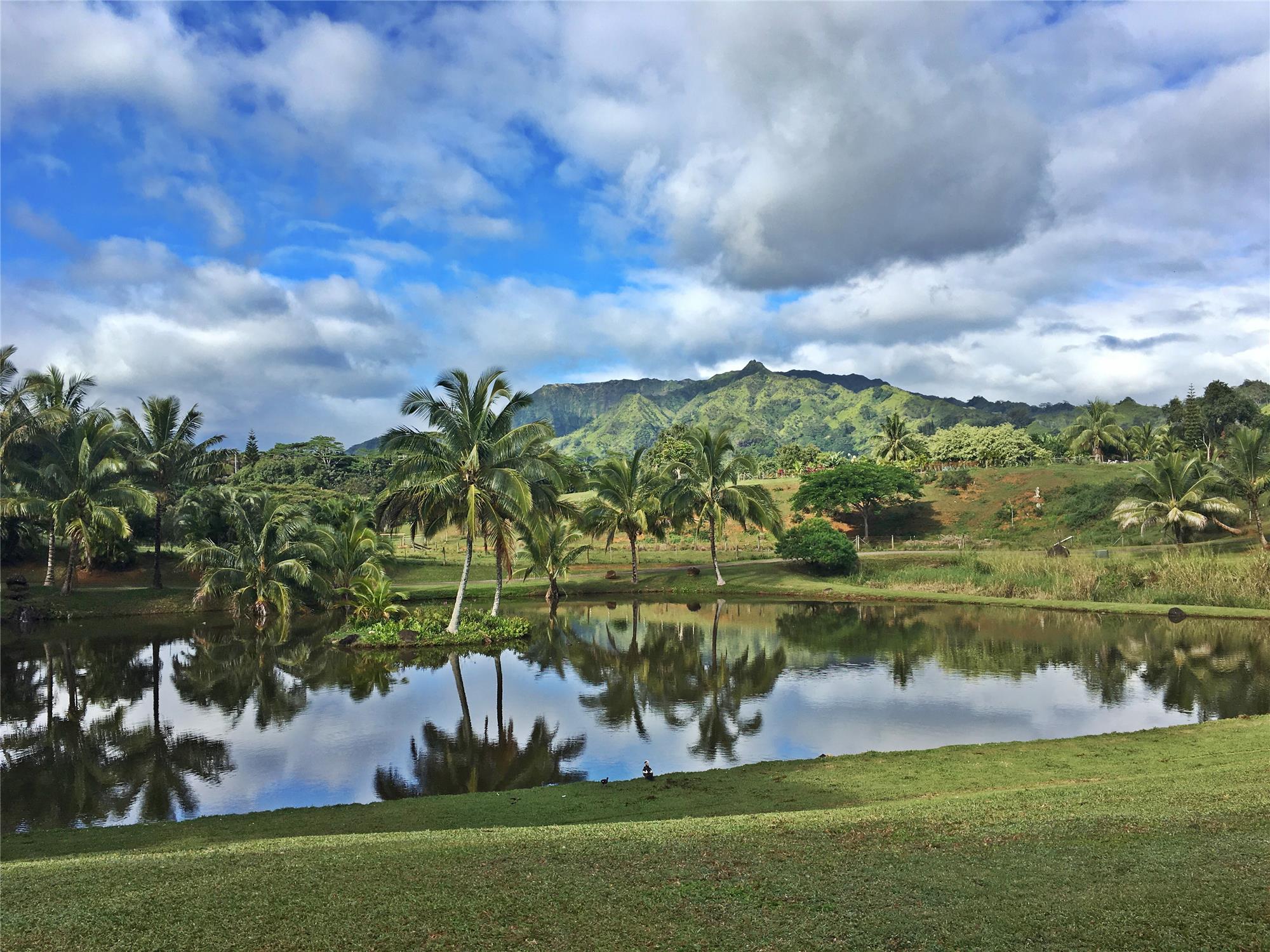 Kapahi Studio for Rent, Kapaa, HI 96746 MLS N/A By Kristine Dugan