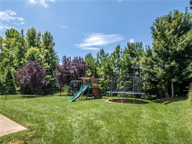 Fenced Back Yard