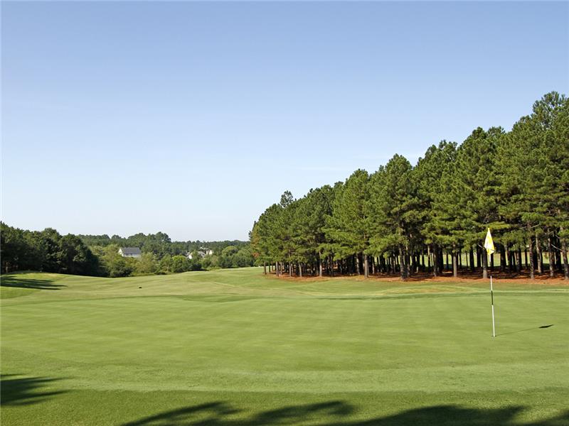 Tee to Green - Great Course
