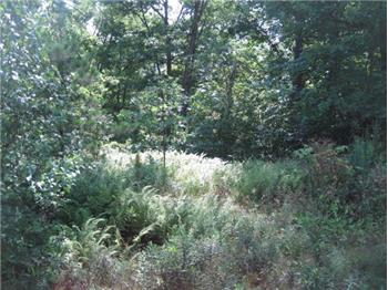 Primary listing photos for listing ID 447091