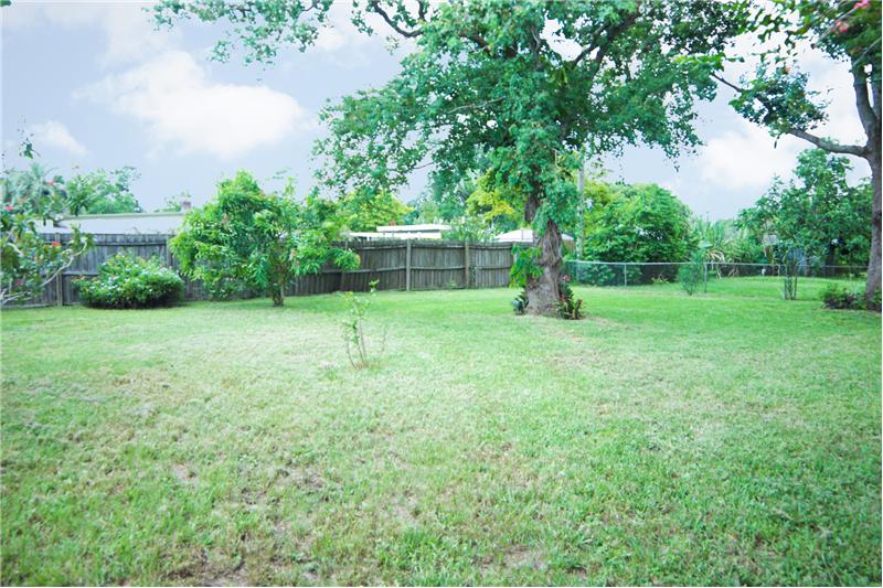 Backyard with mature trees