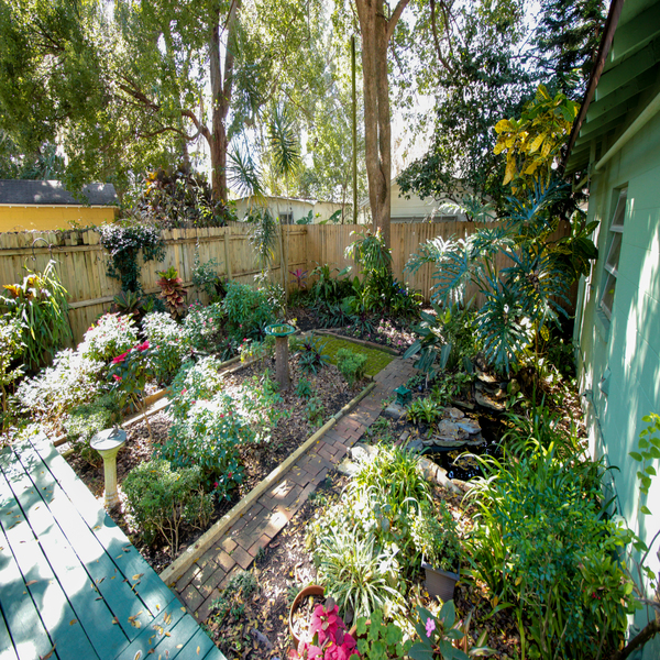 Backyard garden with calming pond