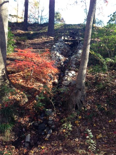 Brook / Stream as seen beginning at neighbors property 5005 Rossmore Dr, Fuquay-Varina NC 27526