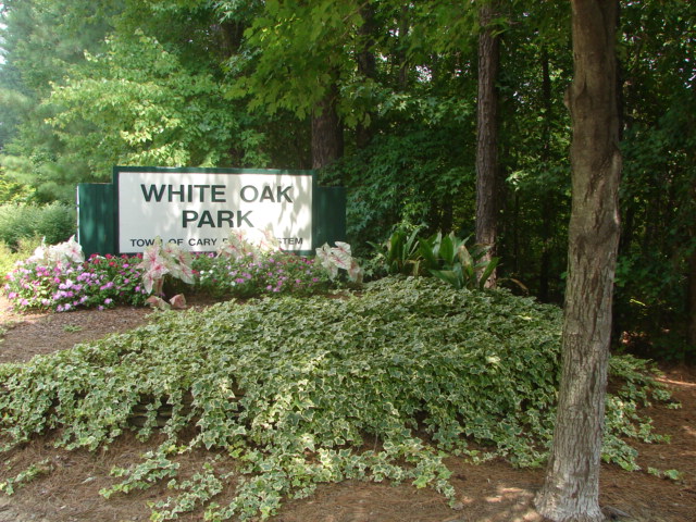 White Oak Park - Across the Street from Brookstone Neighborhood in Cary NC