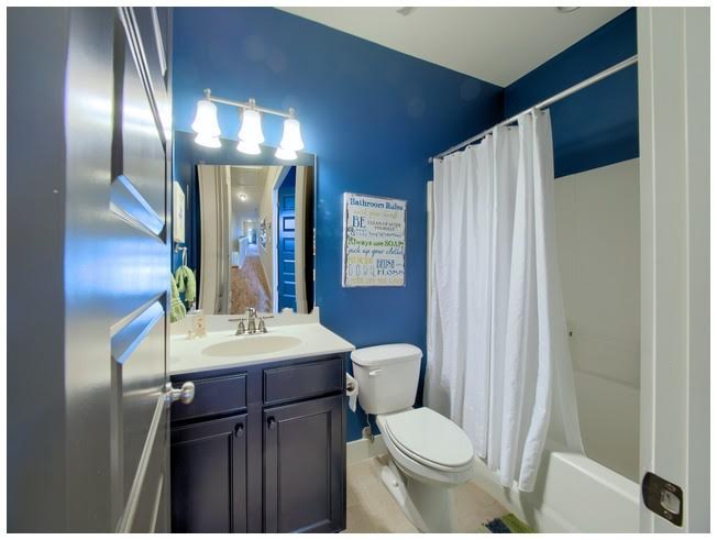 Bathroom 3 108 Mearleaf Place - Holly Springs Homes for Sale