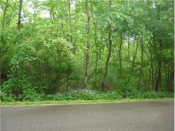 Primary listing photos for listing ID 457682