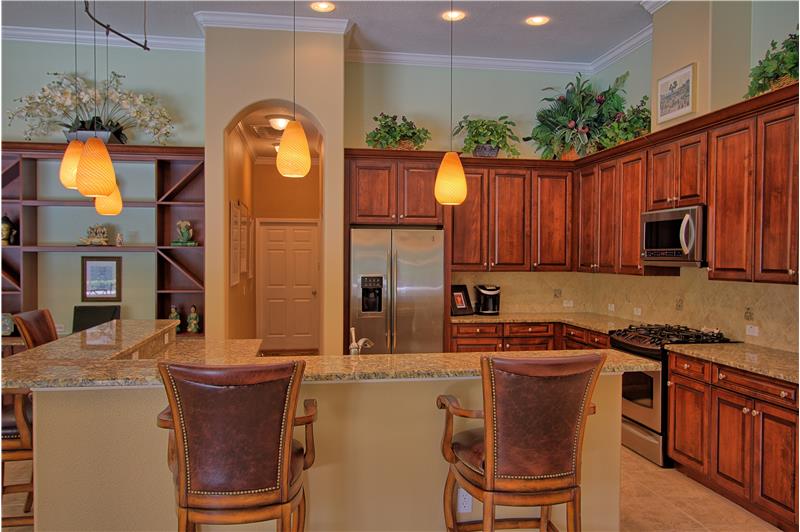 5003 Waydale Lane Tampa, FL 33647_Alternate Kitchen View