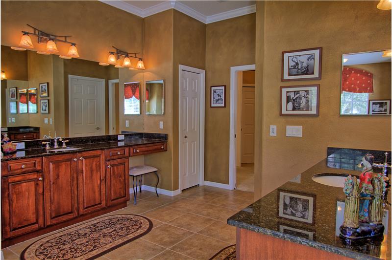 5003 Waydale Lane Tampa, FL 33647_Master Bathroom Alternate View
