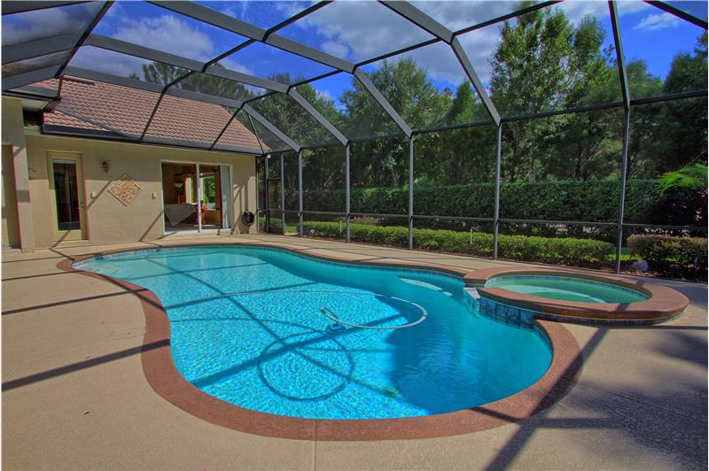 5003 Waydale Ln Tampa, FL 33647_Sparkling Crystal Blue Pool