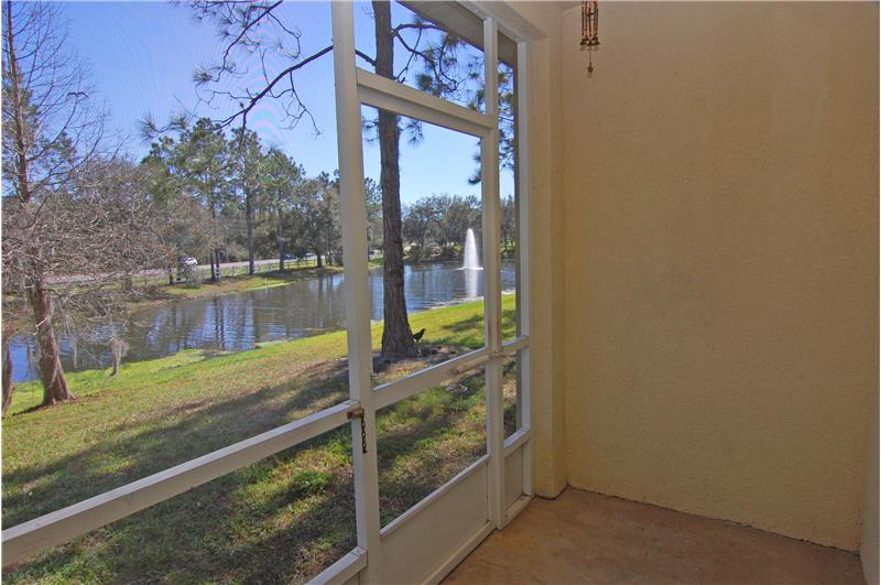 3350 Broken Bow Dr Land O' Lakes, FL 34639 - Screened-In Rear Patio
