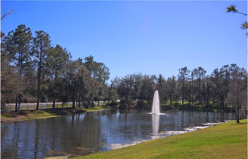  3350 Broken Bow Dr Land O' Lakes, FL 34639 - Pond & Fountain View