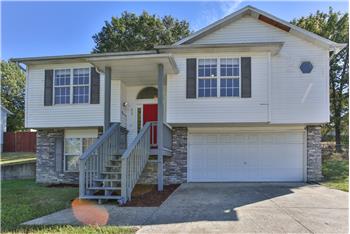 Primary listing photos for listing ID 491497