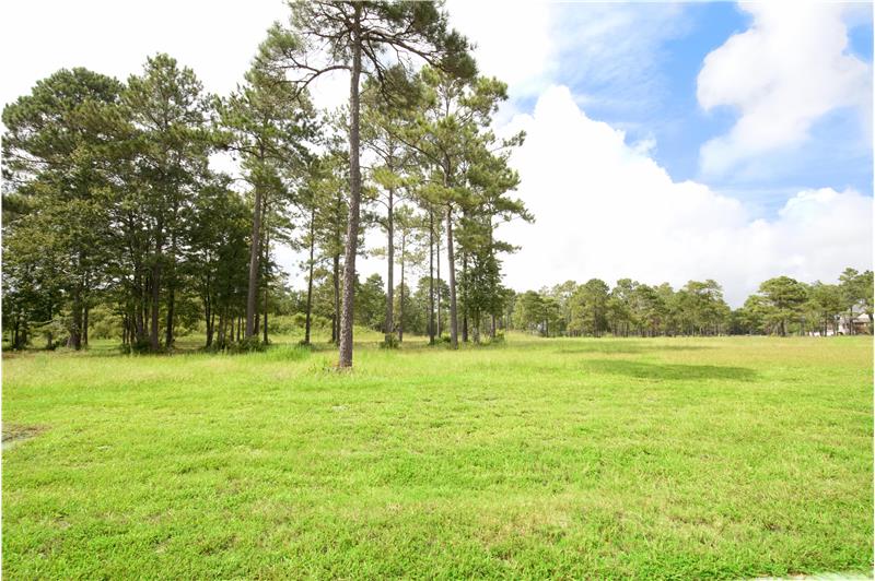 Build your dream home and still have a HUGE front & back yard on this .25 acre lot