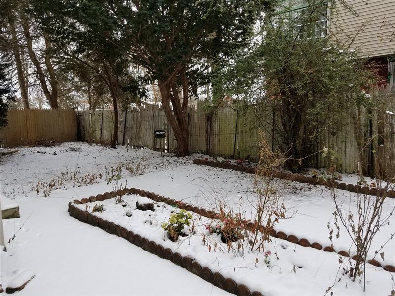 Nice Fenced Yard