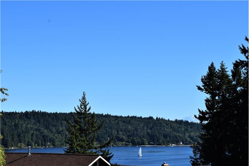 Yes, that is Mount Rainier in the background!!!!