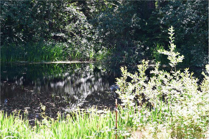 Located in Bremerton, you definitely won't feel like you are there.  The 1/2 acre pond is so peaceful!