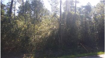 Primary listing photos for listing ID 452577