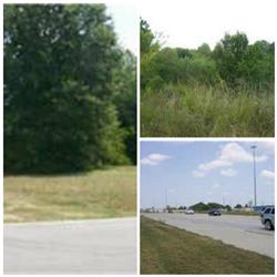 Primary listing photos for listing ID 428514