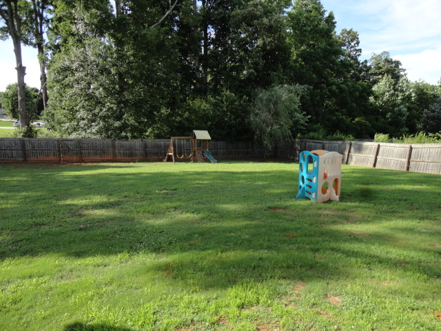 Huge private fenced in back yard