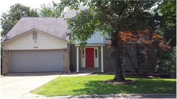 Primary listing photos for listing ID 414266