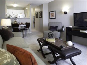 Primary listing photos for listing ID 466438