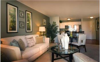 Primary listing photos for listing ID 467917