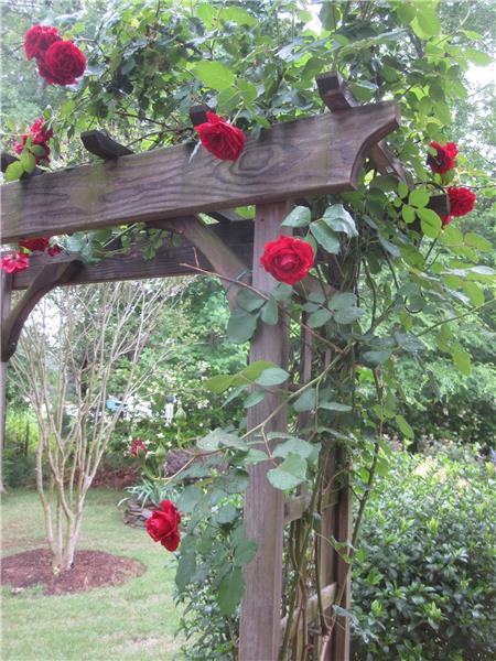 Rose trellis is a lovely entrance to the back yard.