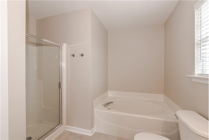 Separate soaking tub and shower in the master bathroom