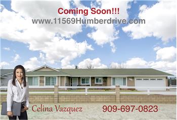Primary listing photos for listing ID 505905