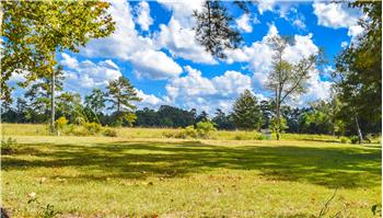 Primary listing photos for listing ID 453440