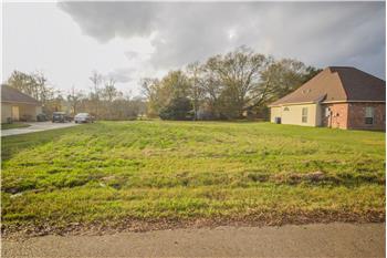 Primary listing photos for listing ID 461069